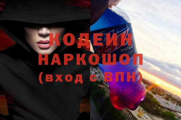 шишки Алзамай
