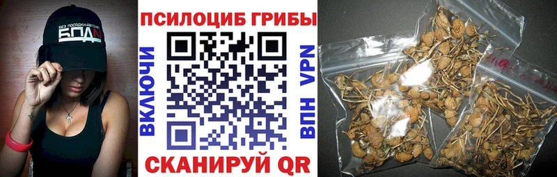 Галлюциногенные грибы Magic Shrooms  Железногорск-Илимский 