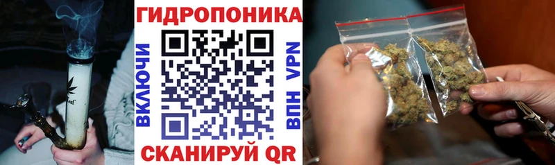 Каннабис планчик мега маркетплейс Железногорск-Илимский